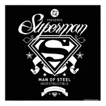 Superman Coat of Arms Poster