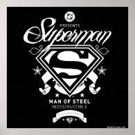 Superman Coat of Arms Poster