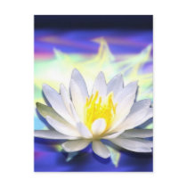 Supernatural Lotus Post Card