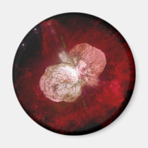 Supernova Fridge Magnets