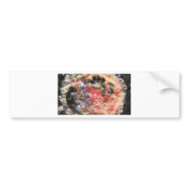 Supernova Remnant Bumper Sticker