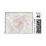 superpinkpeony4sketchoutline stamp