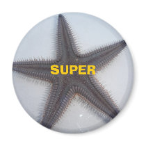 Superstar magnets by jeaned62803 Superstar magnets