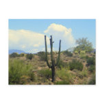superstition beauty postcard