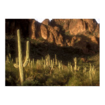 Superstition Mountain posters