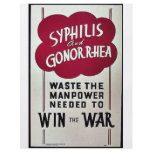 Suphilis And Gonorrhea Personalized Flyer