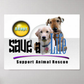 animal adopt