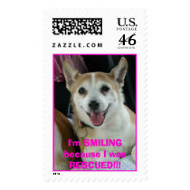 Support animal rescue postage by Jerseygirl032 Support animal rescue postage