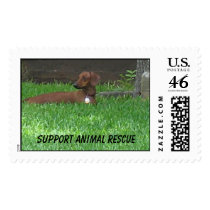 Support Animal Rescue postage by northshorefire Support Animal Rescue postage