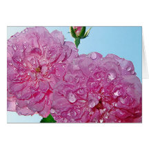 Support Breast Cancer Research Greeting Card