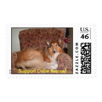 Support Collie Rescue! postage