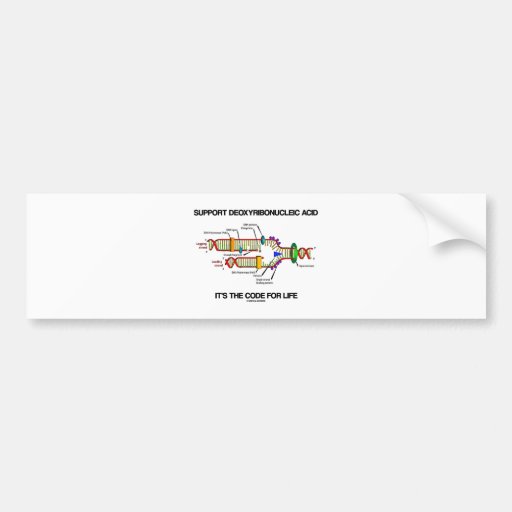 Support Deoxyribonucleic Acid It's The Code Life Bumper Stickers