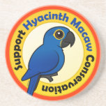 Support Hyacinth Macaw Conservation Sandstone Drink Coaster