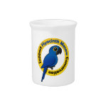 Support Hyacinth Macaw Conservation Pitcher