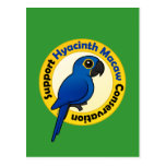 Support Hyacinth Macaw Conservation Postcard