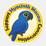 Support Hyacinth Macaw Conservation Round Sticker