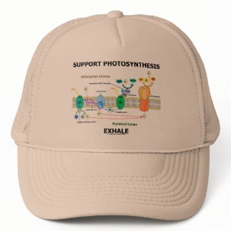 Support Photosynthesis Exhale (Environmental) hat
