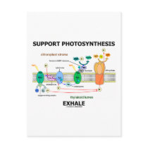 Support Photosynthesis Exhale (Environmental) postcards by wordsunwords Support Photosynthesis Exhale (Environmental) postcards