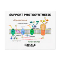 Support Photosynthesis Exhale (Environmental) postcards by wordsunwords Support Photosynthesis Exhale (Environmental) postcards