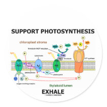 Support Photosynthesis Exhale (Environmental) stickers by wordsunwords Support Photosynthesis Exhale (Environmental) stickers