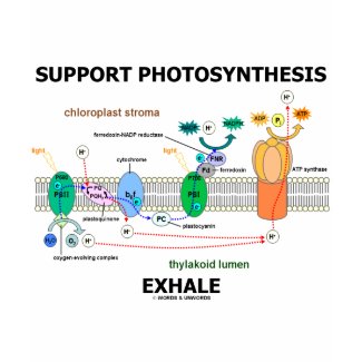 Support Photosynthesis Exhale (Environmental) shirt