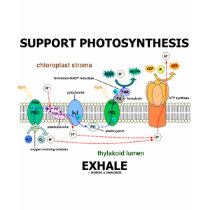 Support Photosynthesis Exhale (Environmental) t-shirts
