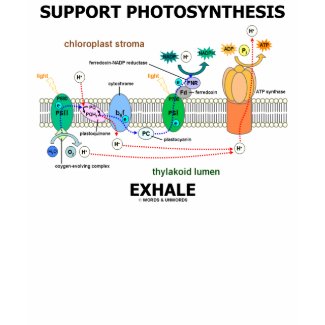Support Photosynthesis Exhale (Environmental) shirt