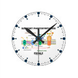 Support Photosynthesis Exhale (Light-Dependent) Round Wall Clock