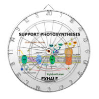 Support Photosynthesis Exhale (Light-Dependent) Dart Board