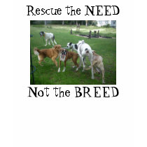 Support Rescue t-shirts by CCRescue Support Rescue t-shirts