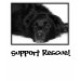 Ladies Petite T-Shirt