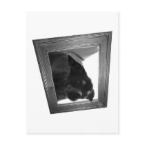 Support seniors postcards