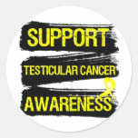 Support Testicular Cancer Awareness Grunge Round Stickers