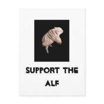 Support the ALF Post Card