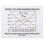 Support The Hardy-Weinberg Principle Practice Personalized Flyer