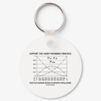 Support The Hardy-Weinberg Principle Practice keychain