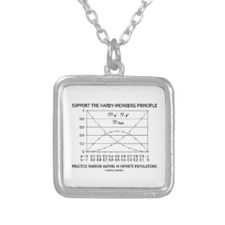 Support The Hardy-Weinberg Principle Practice Pendant