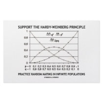 Support The Hardy-Weinberg Principle Practice Stationery Paper