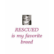 Support the shelters T shirt