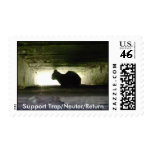 Support Trap/Neuter/Return Postage Stamps