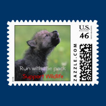 Support Wildlife stamps