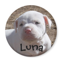 Support Your Local Shelter magnets by beverlytazangel Support Your Local Shelter magnets