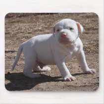 Support Your Local Shelter mousepads by beverlytazangel Support Your Local Shelter mousepads