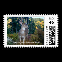 Support your National Parks stamps