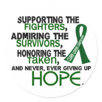 Supporting Admiring Honoring 3.2 Liver Cancer Stickers