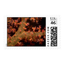 Supporting spicules of a soft coral tree postage stamp