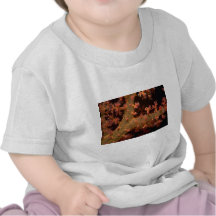 Supporting spicules of a soft coral tree tee shirts