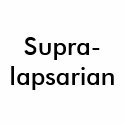 Supra-lapsarian t-shirts