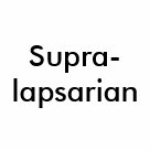 basic_poloshirt - shirt 1