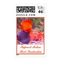 Supreel Melon-Red and Snakeskin Postage Stamp